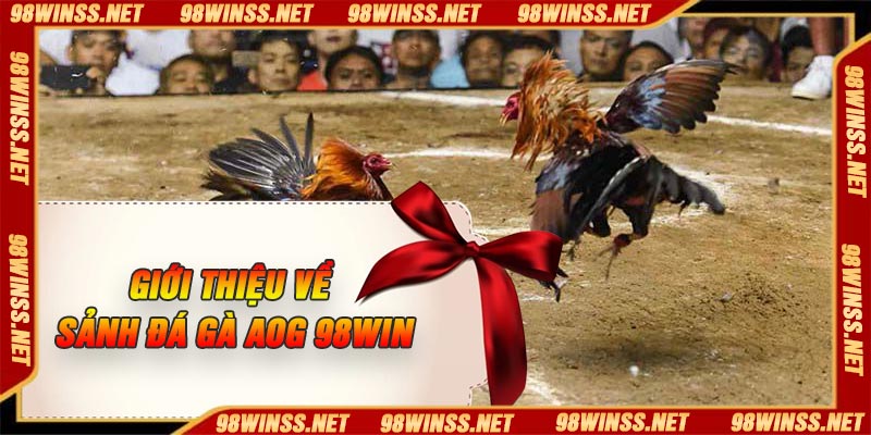 Giới thiệu về Sảnh đá gà AOG 98Win