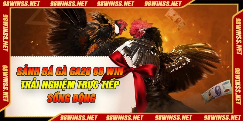 Sảnh Đá Gà GA28 98 win: Trải Nghiệm Trực Tiếp Sống Động