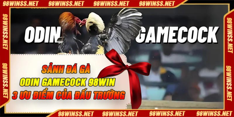 Sảnh Đá Gà ODIN GAMECOCK 98Win – 3 Ưu Điểm Của Đấu Trường
