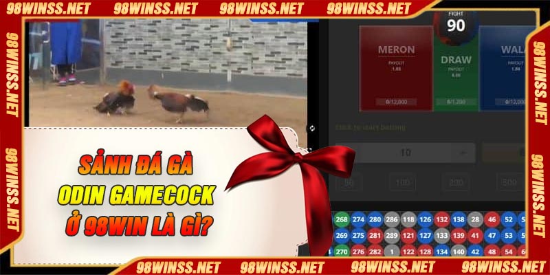 Sảnh đá gà ODIN GAMECOCK ở 98Win là gì?