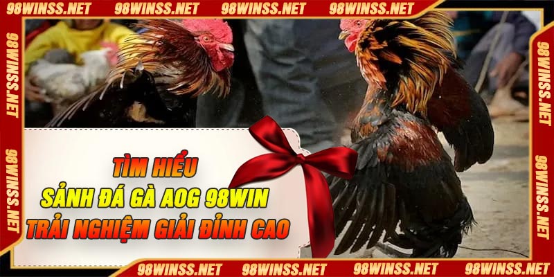 Tìm Hiểu Sảnh Đá Gà AOG 98Win Trải Nghiệm Giải Đỉnh Cao