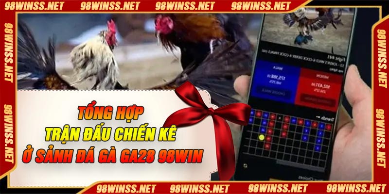 Tổng hợp trận đấu chiến kê ở sảnh đá gà GA28 98win