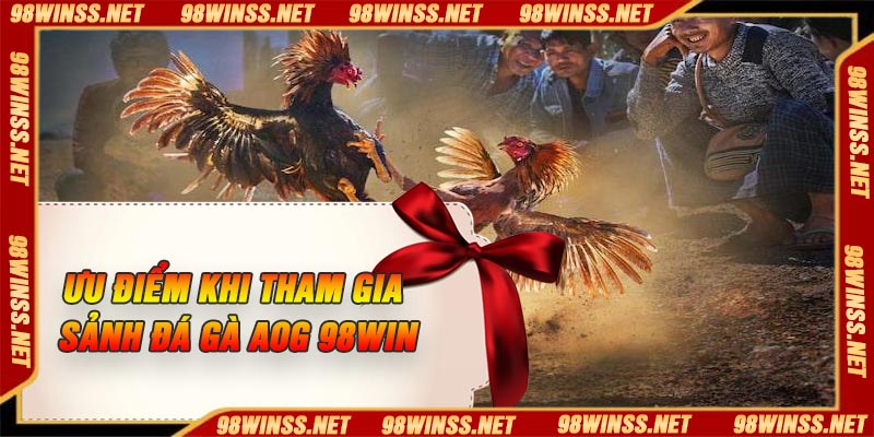Ưu điểm khi tham gia Sảnh đá gà AOG 98Win